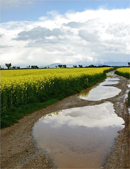 suivre le chemin...