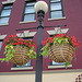 Rutland. Vermont USA - 25-07-2009  -  Plantes et lampadaire / Plants and street lamp