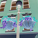 Rutland. Vermont USA - 25-07-2009 - Plants and street lamp /  Plantes et lampadaire. Négatif