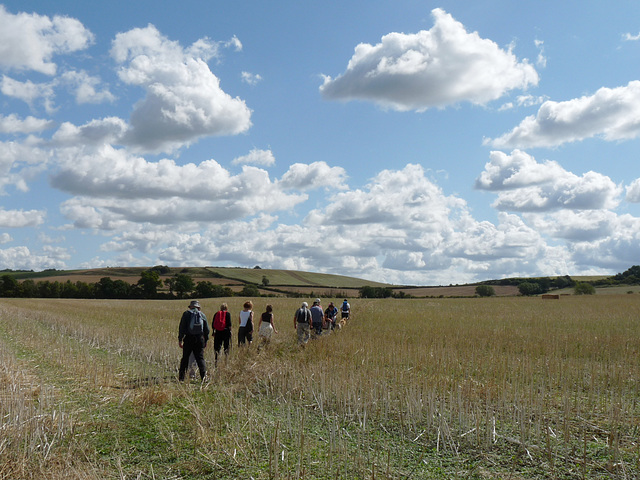 A Walk in the Vale of Aylesbury