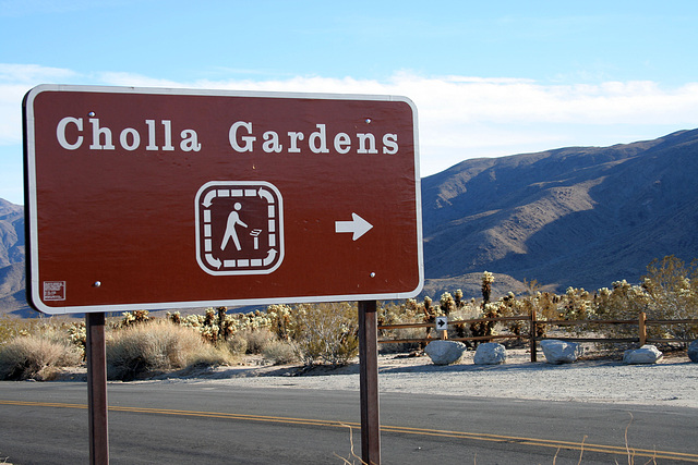 Cholla Gardens (2996)