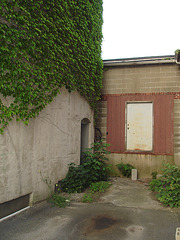 Portes et feuillage grimpant