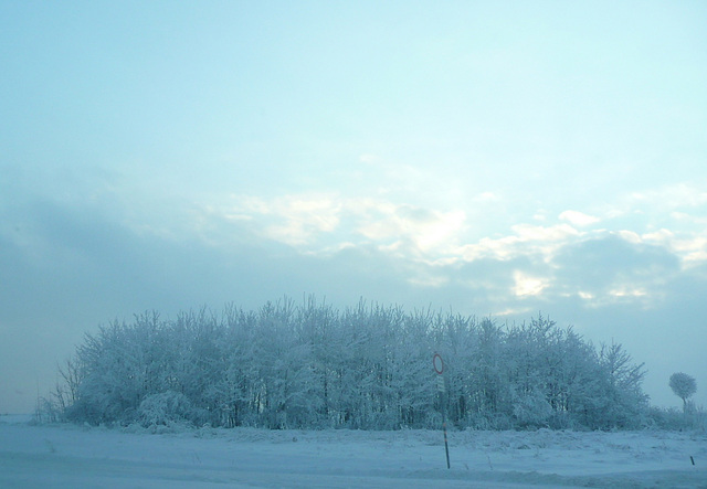 Winterliche Impressionen