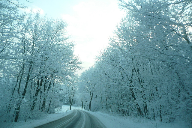 Winterliche Impressionen