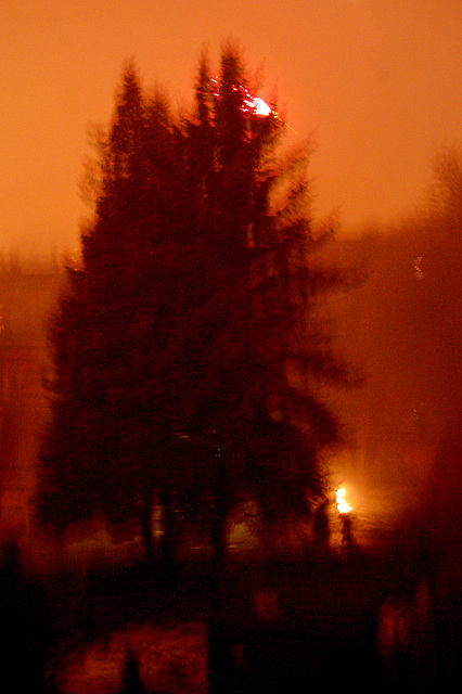 iluminata ĝardeno - illuminierter Garten