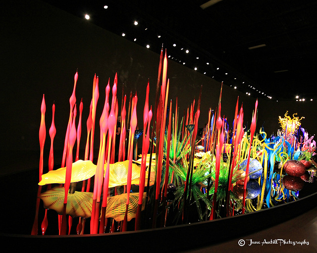 Chihuly Sculptures (15)