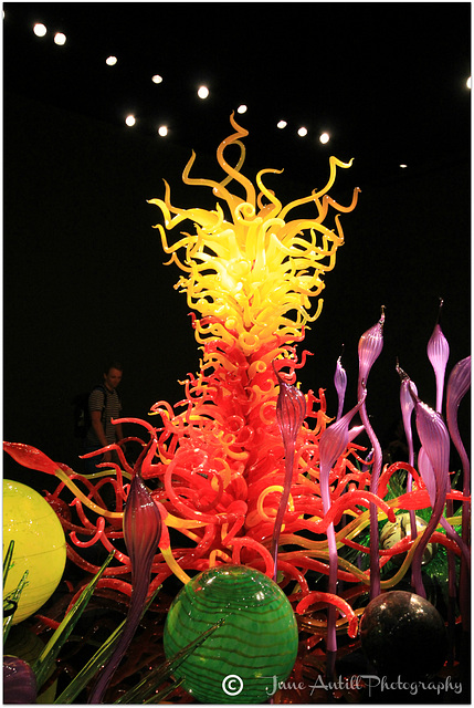 Chihuly Sculptures (11)