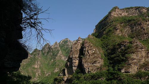 P1040961
