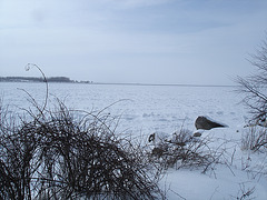 Randonnée en raquettes - Snowshoe run/  Hometown - Dans ma ville.  Hiver 2008