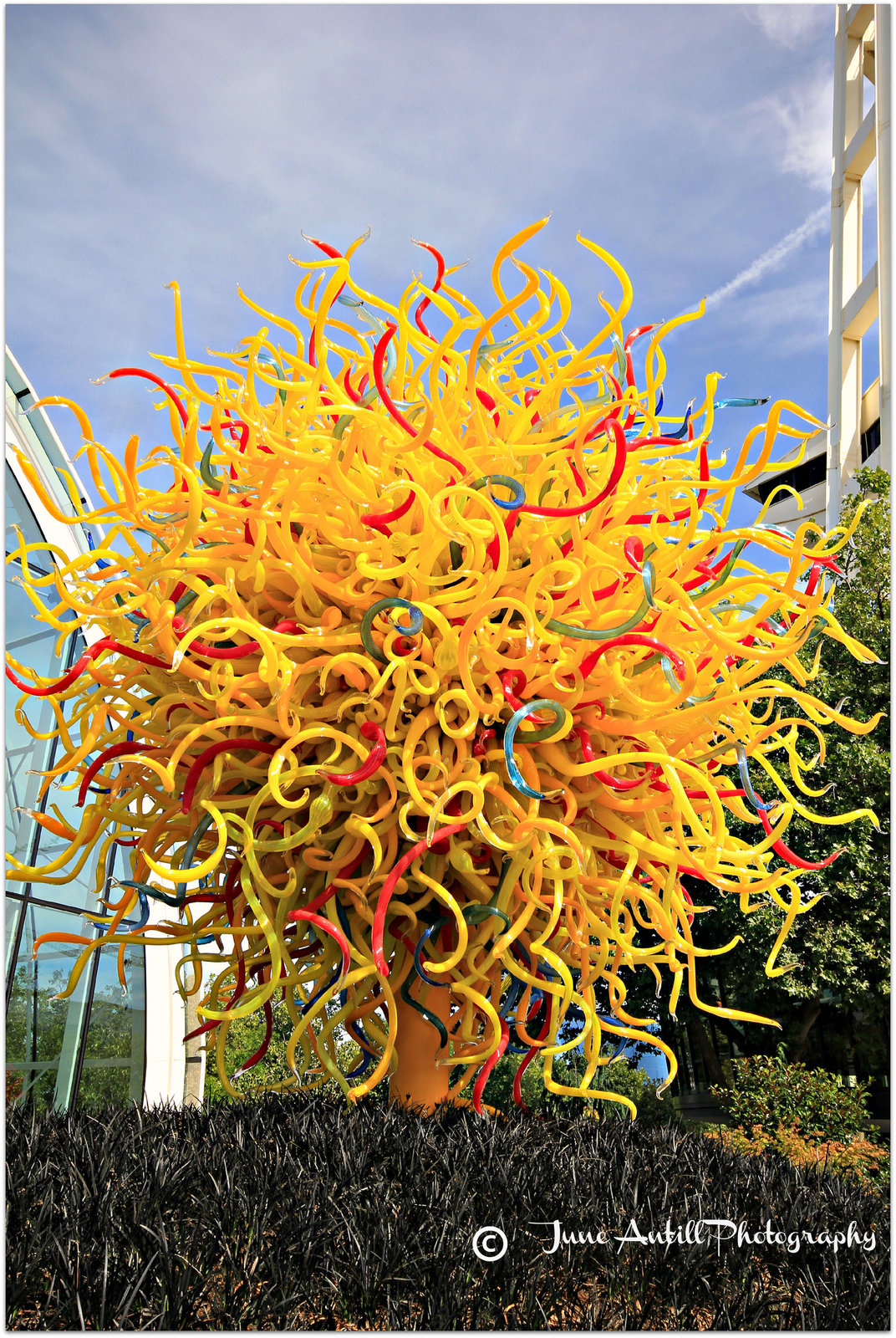 Chihuly Sculptures (3)