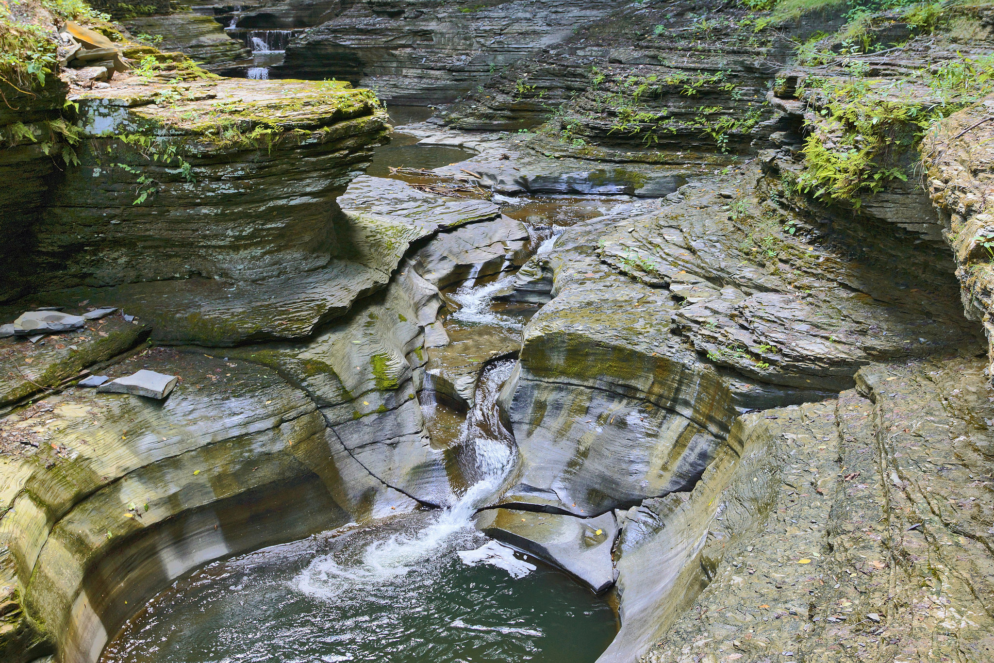 Smooth Operator – Watkins Glen State Park, Watkins Glen, New York
