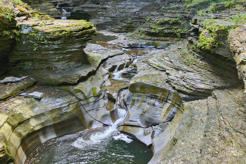 Smooth Operator – Watkins Glen State Park, Watkins Glen, New York