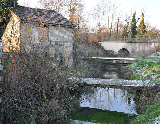 CABANE DE JARDIN A VERTUS