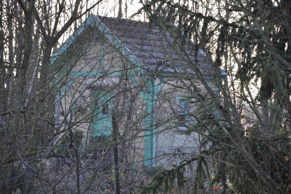 CABANE DE JARDIN A VERTUS