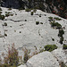 20061103 0874DSCw [F] Verdon-Canyon, Cote d'Azur