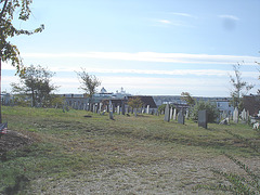 The Eastern cemetery  /  Portland, Maine USA -  11 octobre 2009 - Avec / With the Jewel of seas - éclaircie