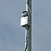 Tedesco Police Camera (4660)