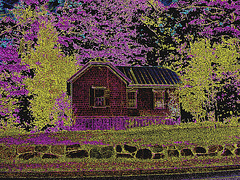 Vieille maison  / Old house.  Conway, New Hampshire USA  - 10 octobre 2009 -  Contours de couleurs ravivées en négatif RVB