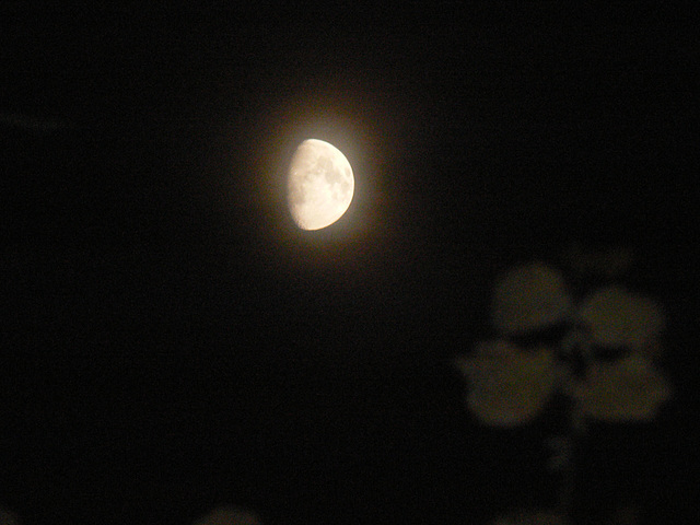 Mond am dunklen Abendhimmel