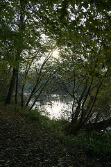 Water Meadow Sun