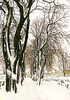 aleo - Allee