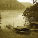 Half moon state park. Sur la 4 près de la 30 nord. Vermont, USA /  États-Unis -   26 juillet  2009  - Sepia