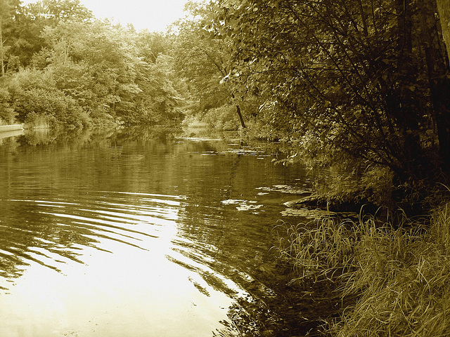 Half moon state park. Sur la 4 près de la 30 nord. Vermont, USA /  États-Unis -   26 juillet  2009 - -  Sepia