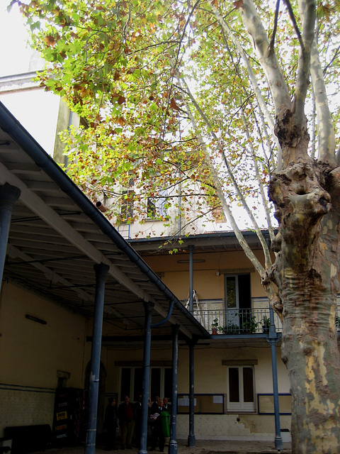 High School of Camões, classrooms (4)