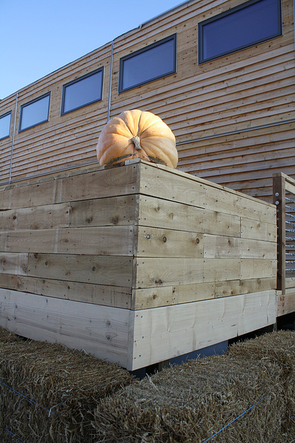 162.SolarDecathlon.NationalMall.WDC.9October2009 162.SolarDecathlon.NationalMall.WDC.9October2009