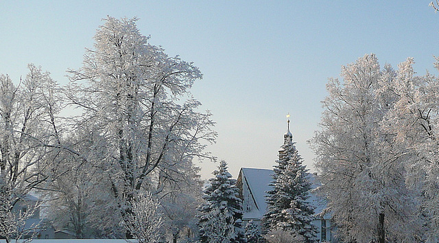 Spaziergang bei -15°C in Liebenau - Osterzgebirge