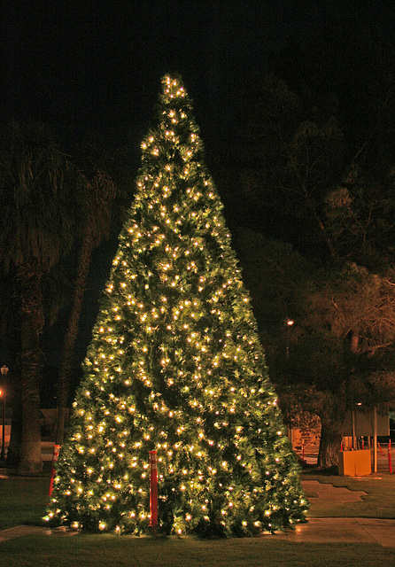 Desert Hot Springs Xmas Tree 2009 (2873)