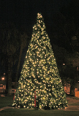 Desert Hot Springs Xmas Tree 2009 (2875)