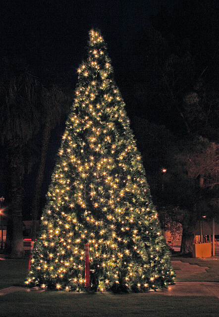 Desert Hot Springs Xmas Tree 2009 (2878)