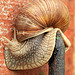 Snail on door hinge