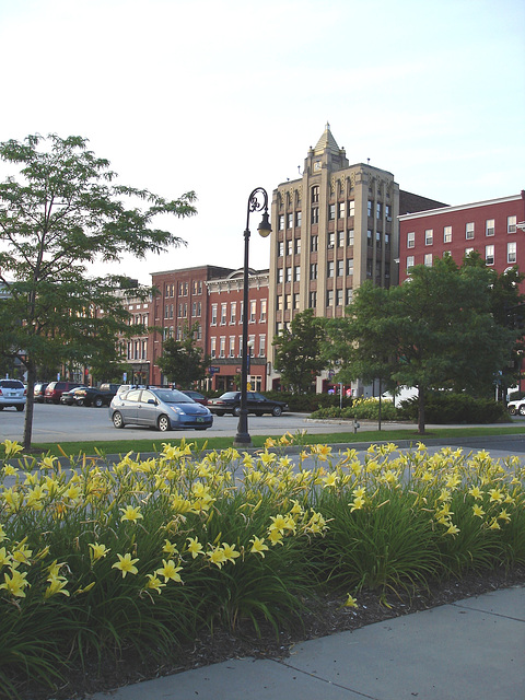 Fleurs de ville / Downtown flowers