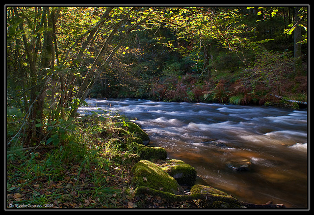 Eau vive / wild water