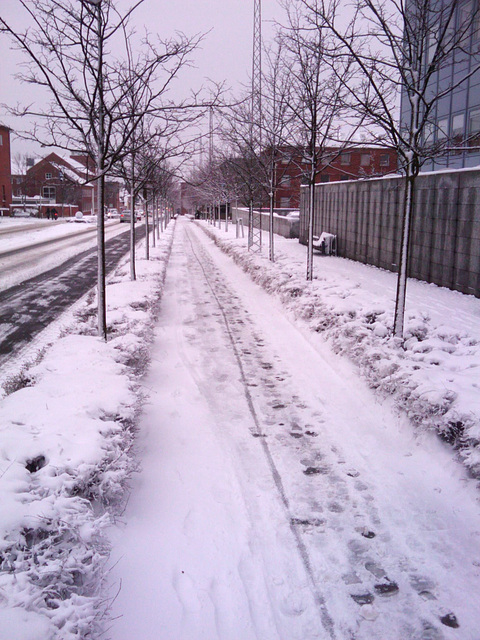 White winter in Esbjerg!