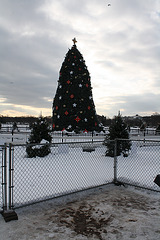 01.NationalChristmasTree.Ellipse.WDC.22December2009