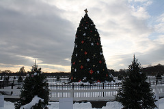 04.NationalChristmasTree.Ellipse.WDC.22December2009