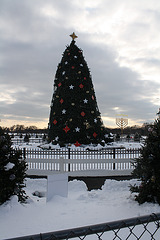 06.NationalChristmasTree.Ellipse.WDC.22December2009