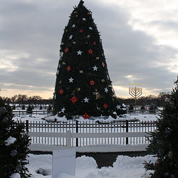 06.NationalChristmasTree.Ellipse.WDC.22December2009