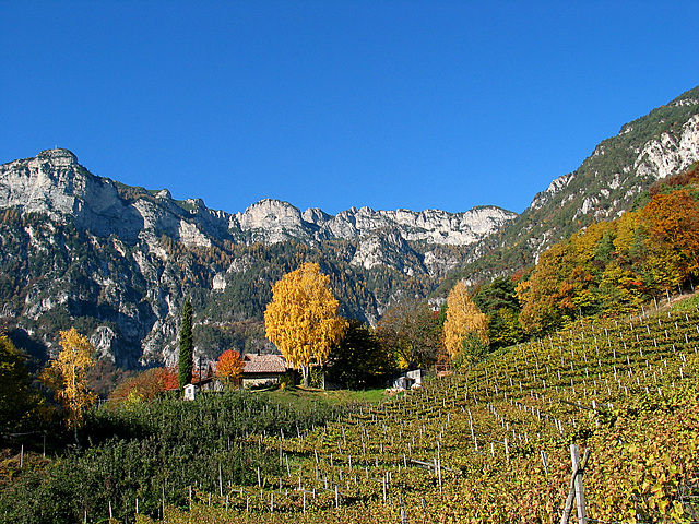 Herbst in Südtirol