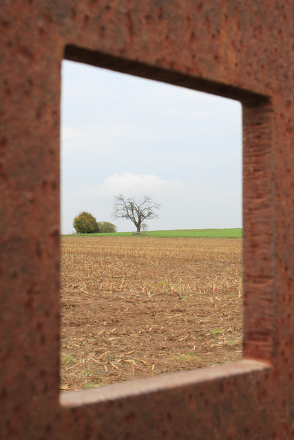 In the Fields