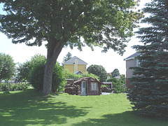 Cour chargée / Full backyard - En campagne près de chez-moi - Création Krisontème -  Après the ménage /  After the clean-up.