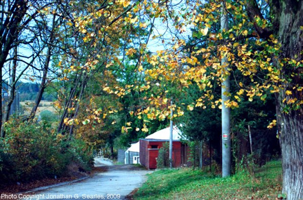 Fall Colors, Edited Version, Cercany, Bohemia (CZ), 2009