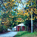 Fall Colors, Edited Version, Cercany, Bohemia (CZ), 2009