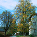 Fall Colors, Picture 3, Edited Version, Cercany, Bohemia (CZ), 2009