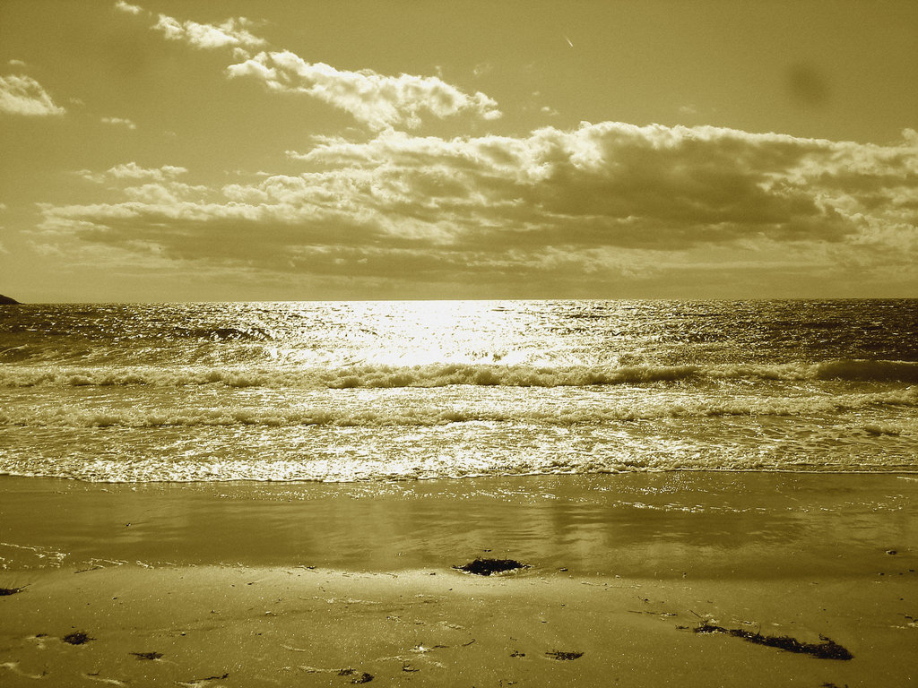 Deserted beach / Plage déserte -  Maine, USA -  11 octobre 2009 -Sepia