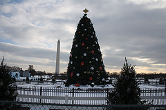 07.NationalChristmasTree.Ellipse.WDC.22December2009