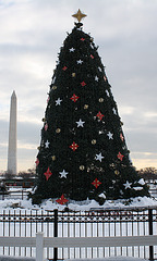 08.NationalChristmasTree.Ellipse.WDC.22December2009